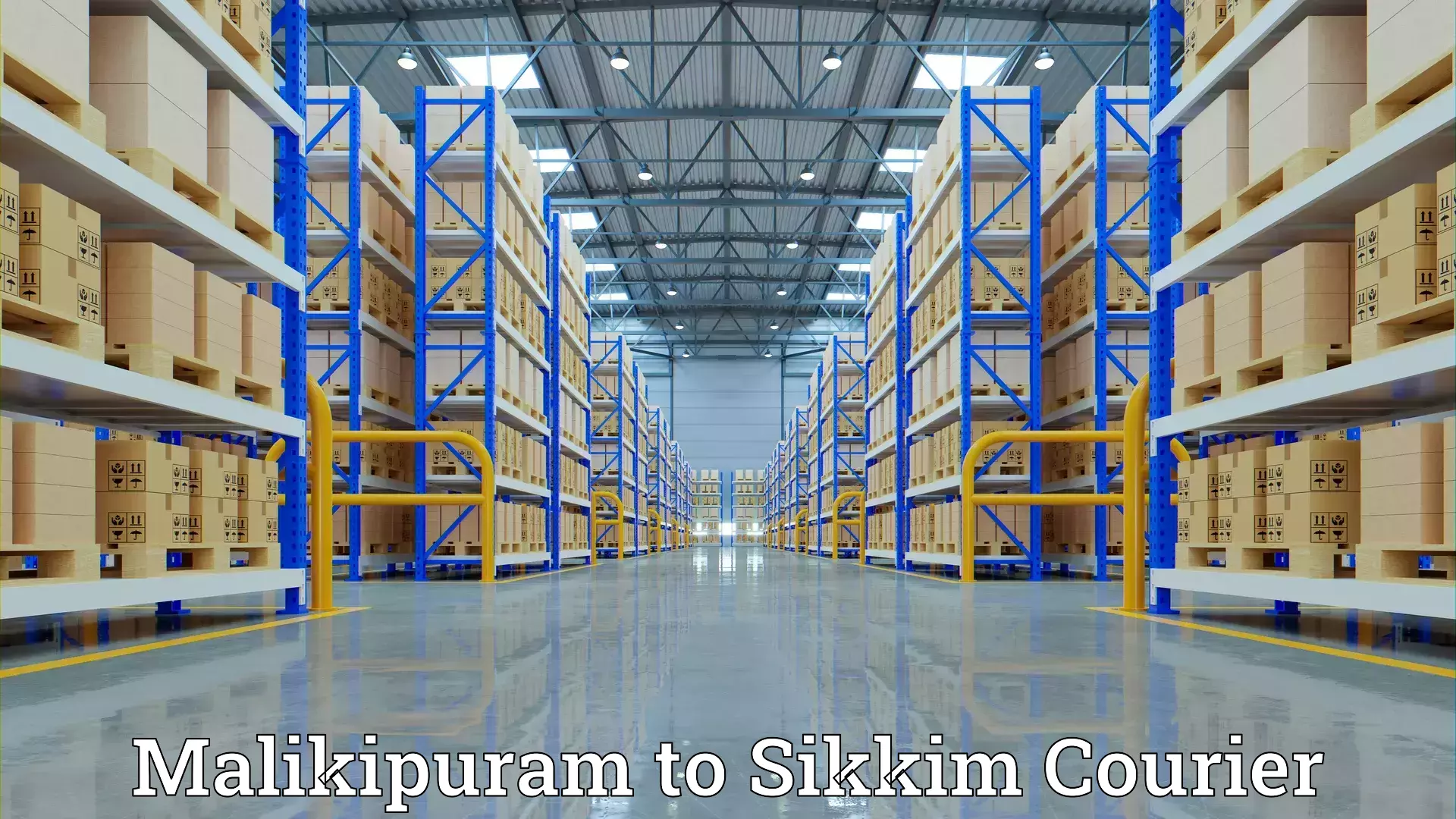 Professional moving company Malikipuram to Sikkim