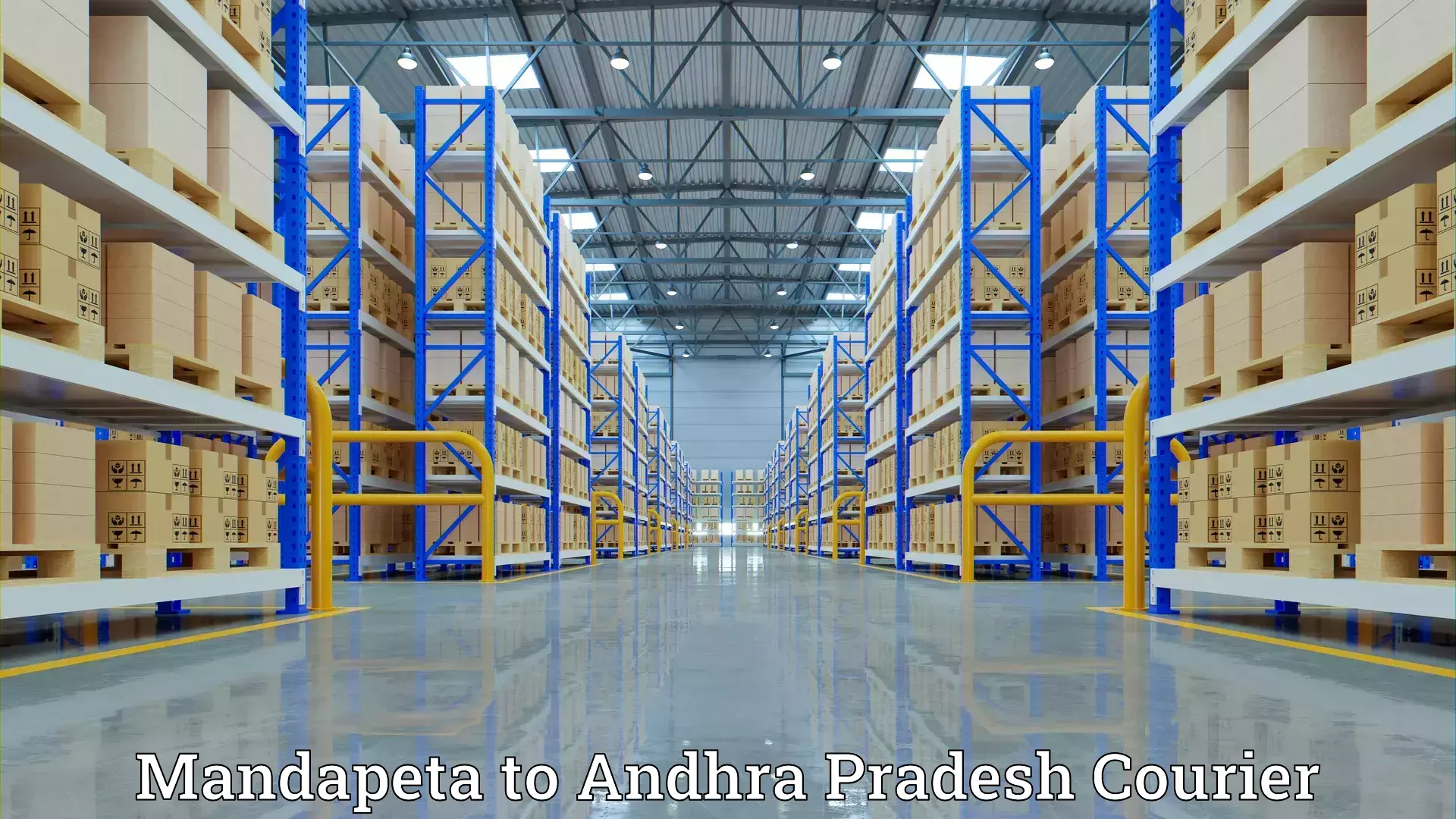 Household goods transport service in Mandapeta to NIT Andhra Pradesh