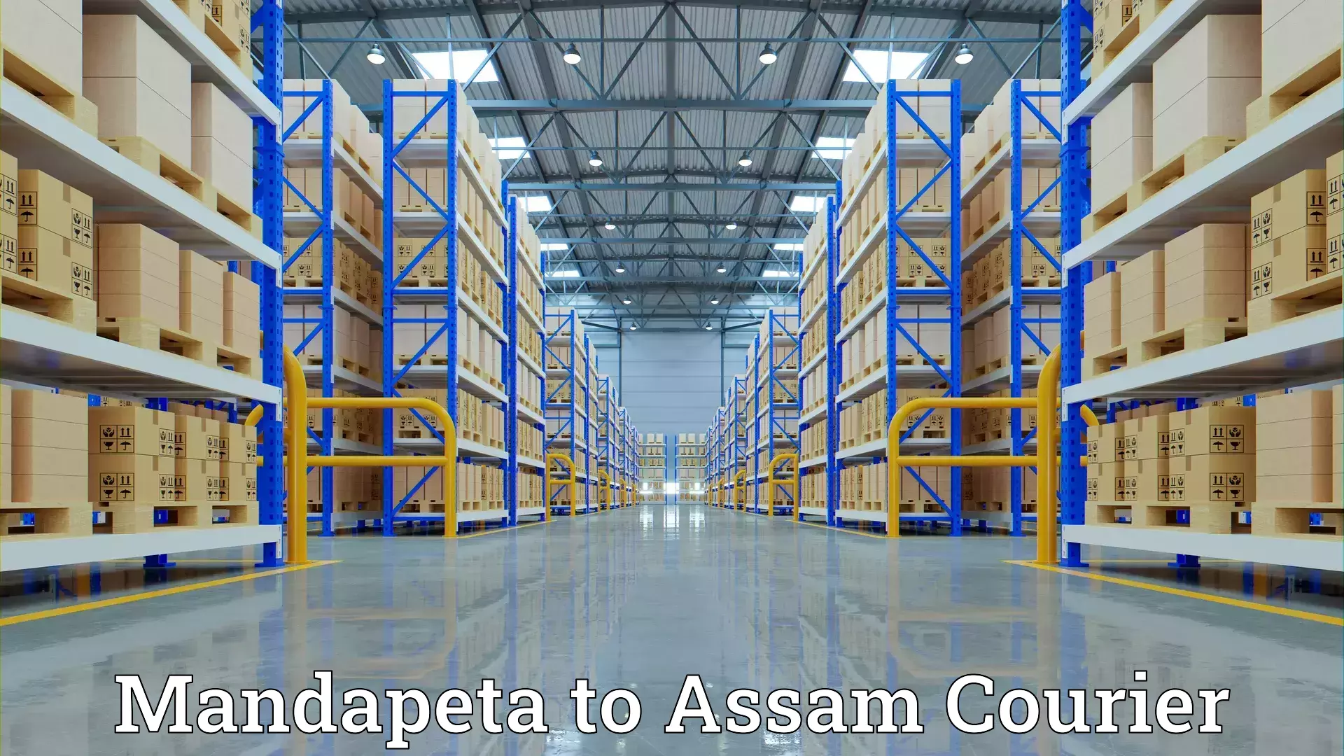 Household goods movers Mandapeta to Assam