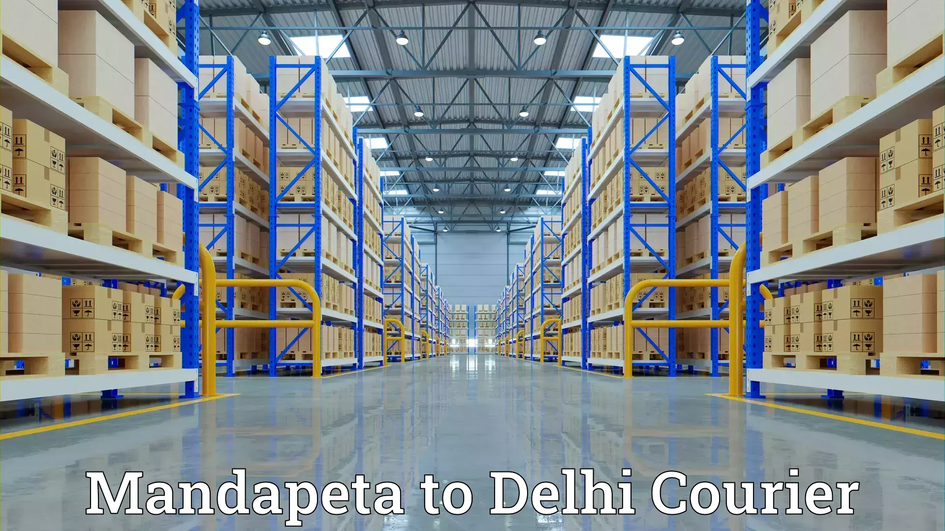 Flexible moving solutions Mandapeta to Jamia Millia Islamia New Delhi