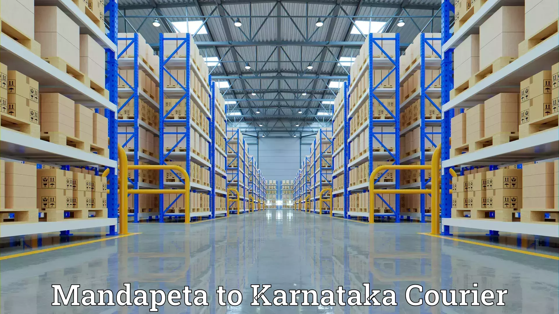 Home relocation experts Mandapeta to Bagepalli