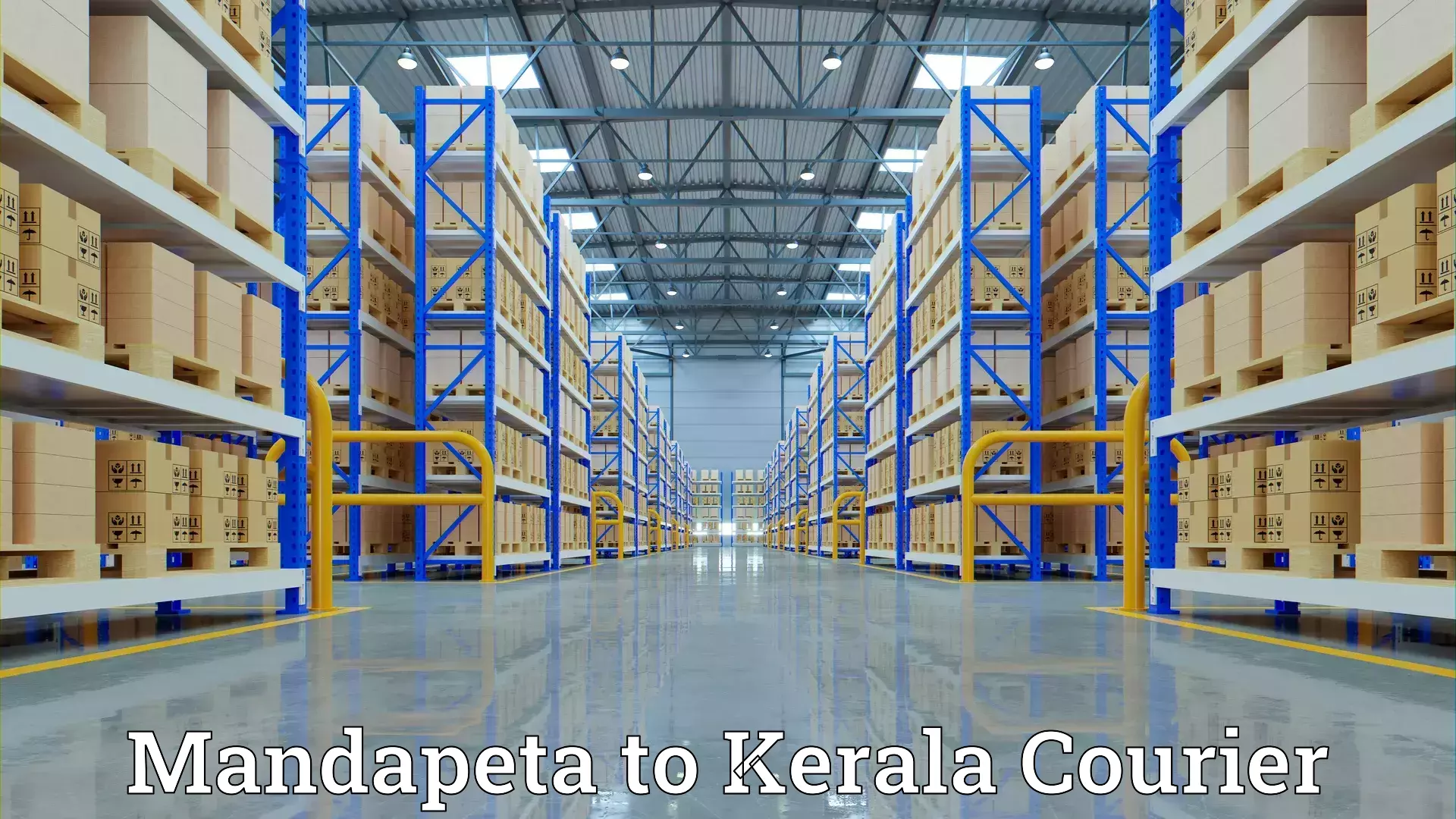 Skilled movers Mandapeta to Kochi