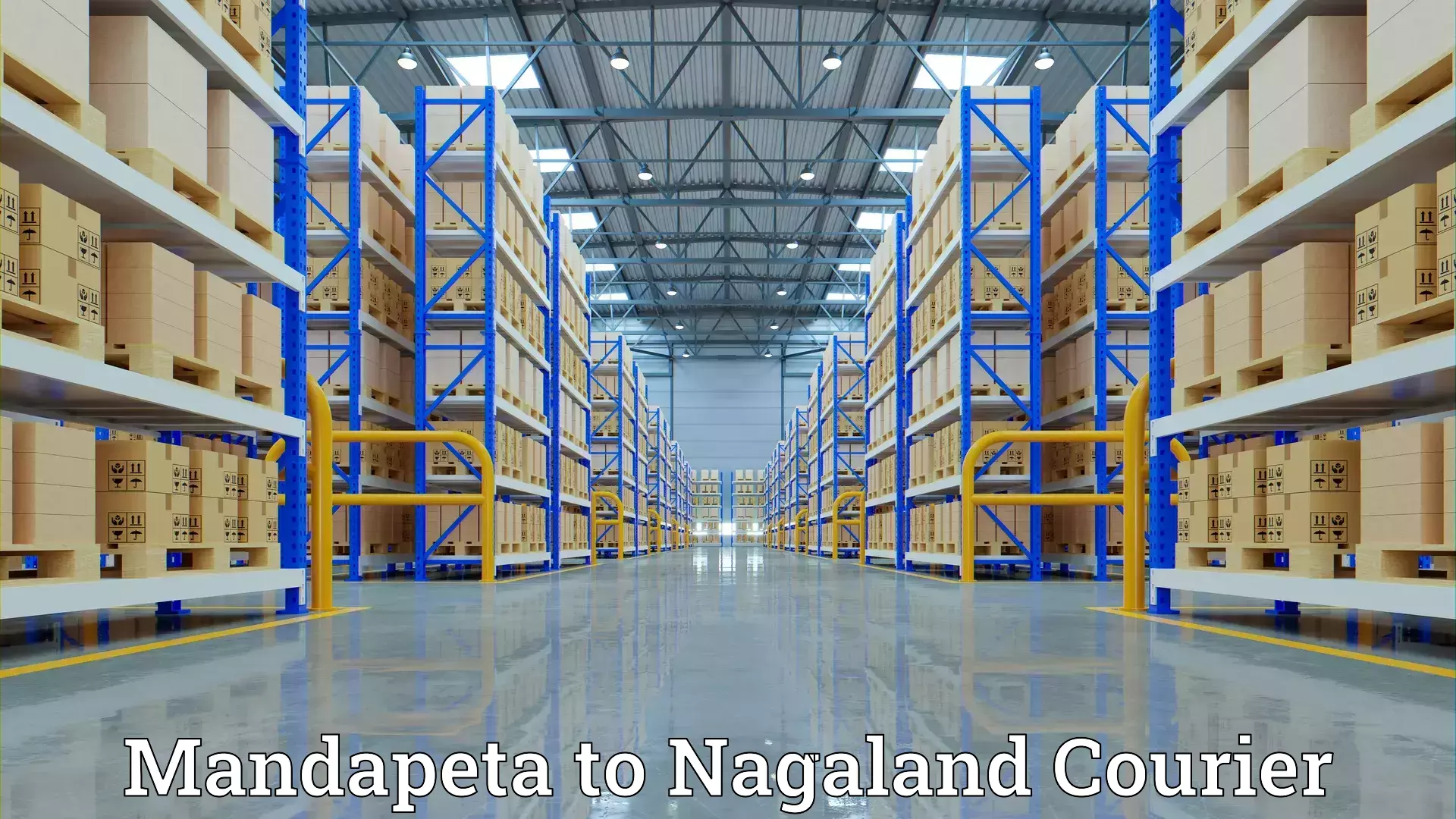 Household goods movers and packers Mandapeta to Nagaland