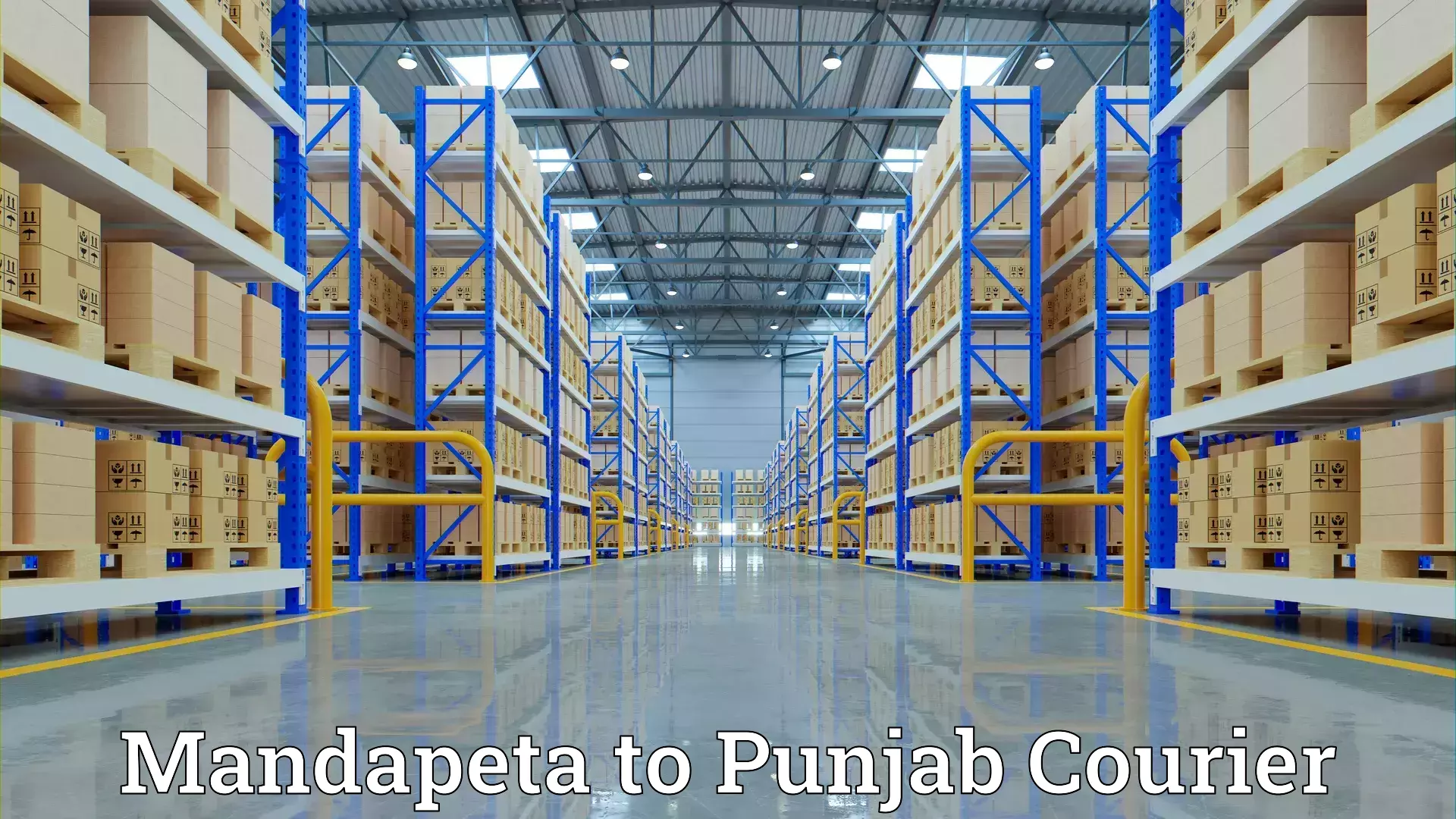 Specialized moving company Mandapeta to Gurdaspur