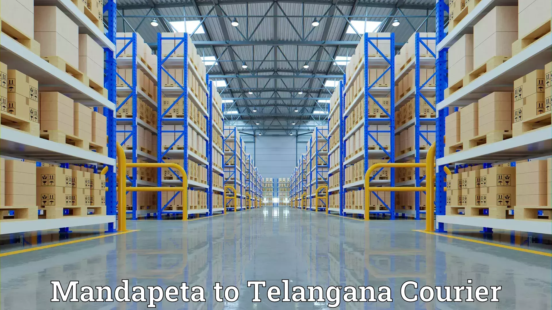 Expert moving and storage Mandapeta to Warangal