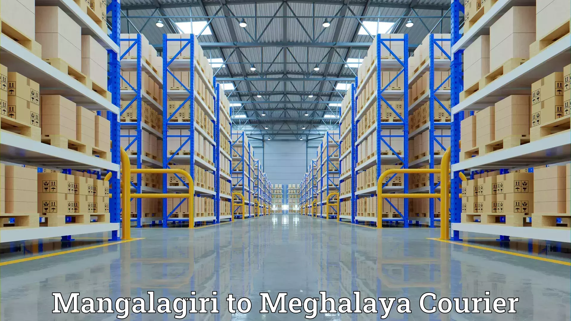 Expert relocation solutions Mangalagiri to Williamnagar