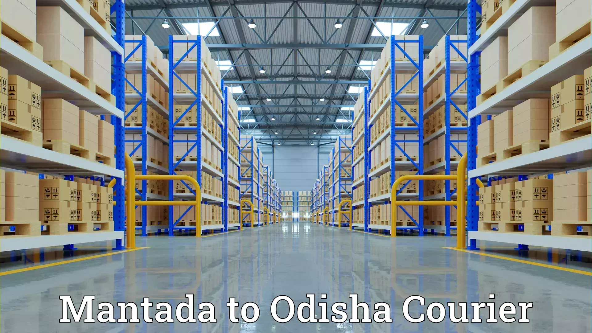 Quality moving services Mantada to Odisha