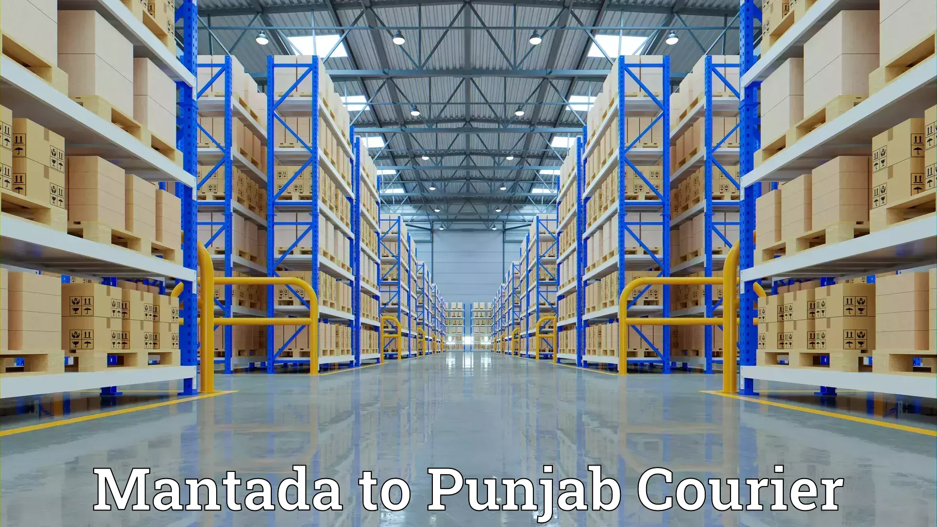 Long-distance household transport Mantada to Punjab Agricultural University Ludhiana