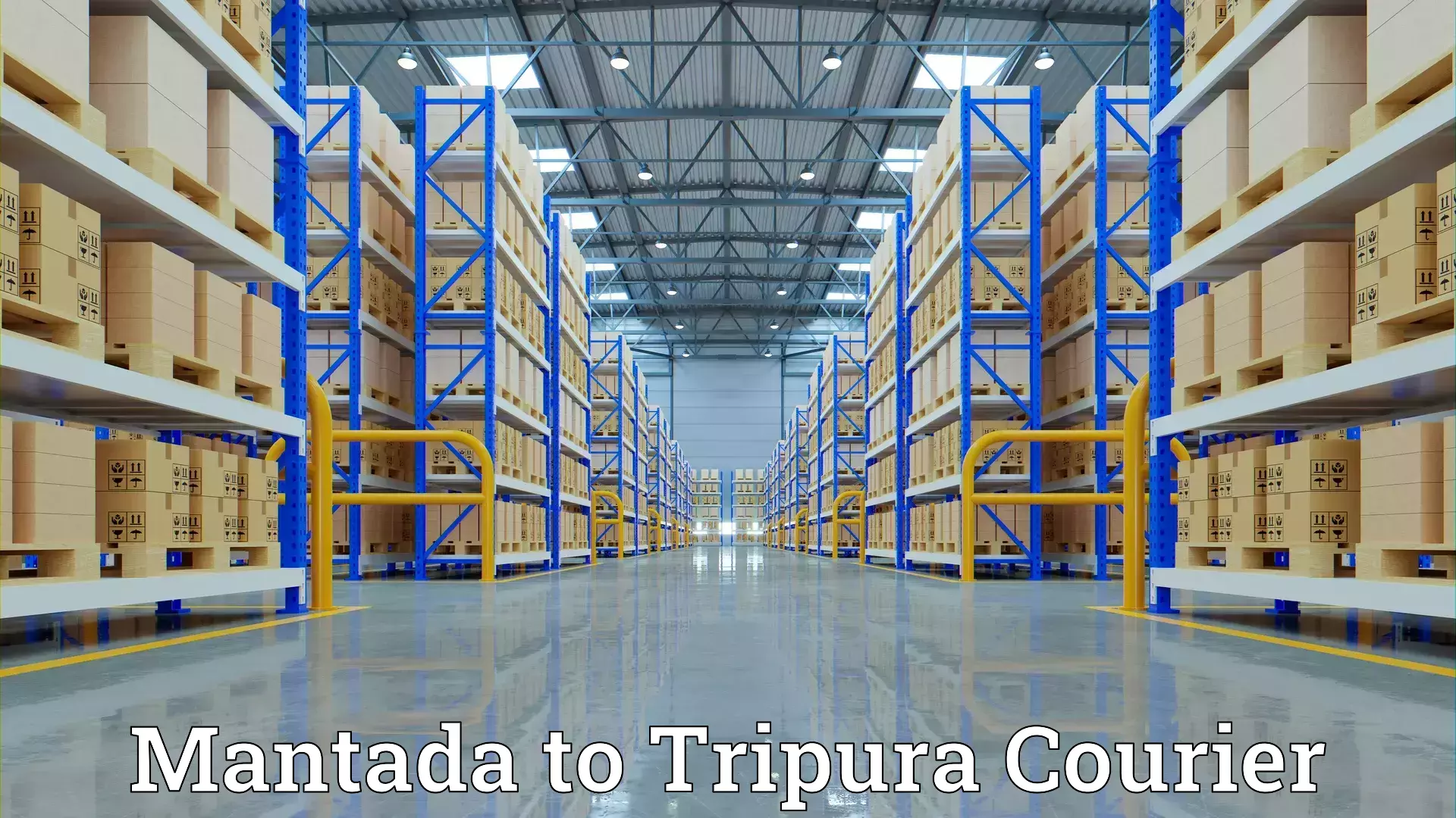 Professional furniture shifting Mantada to South Tripura