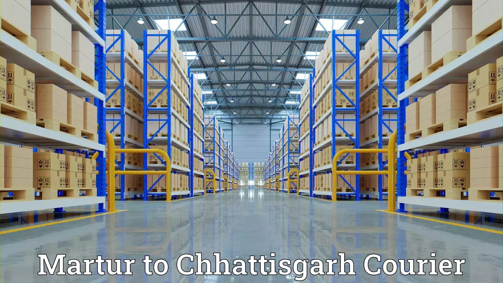 Professional packing and transport Martur to Bhilai