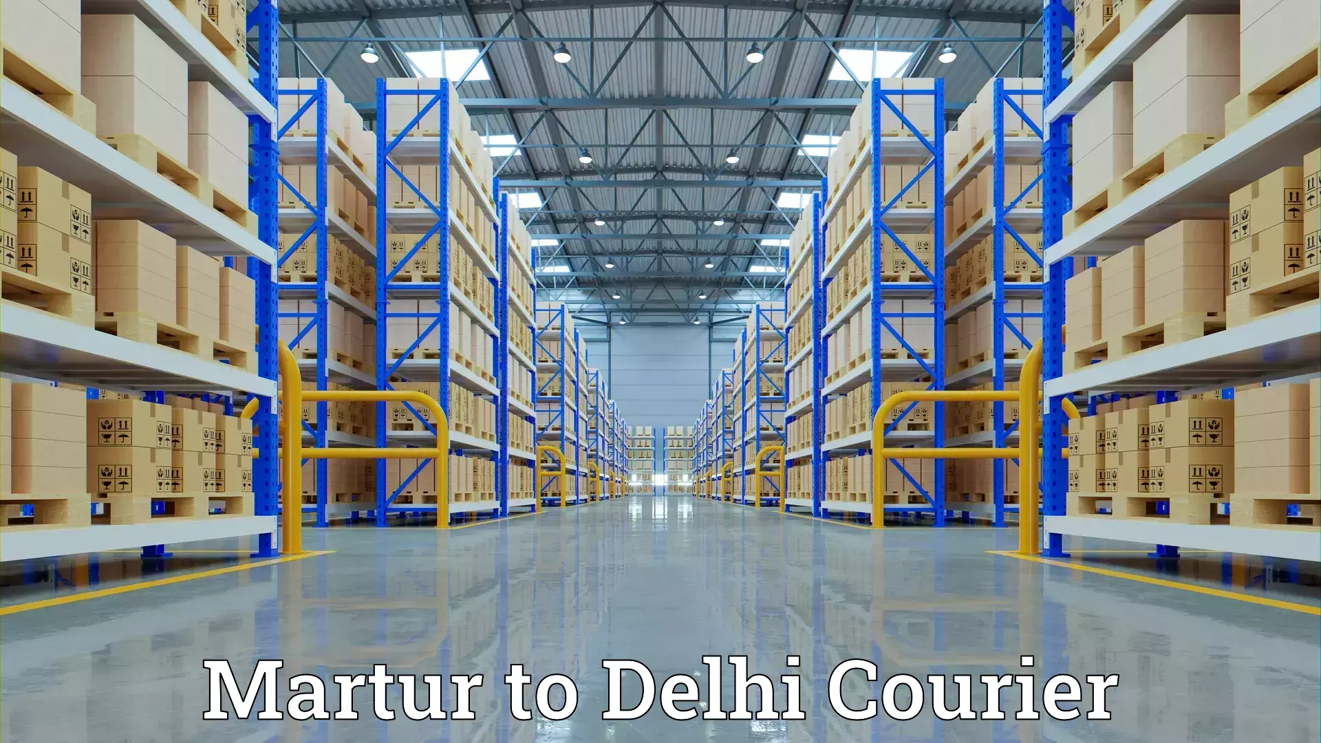 Expert moving and storage Martur to Delhi