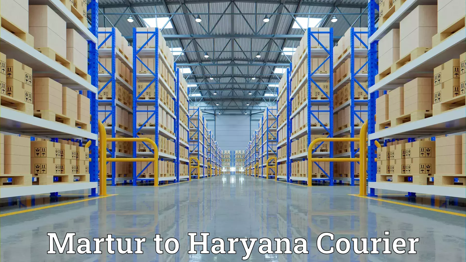 Home moving and storage Martur to NCR Haryana