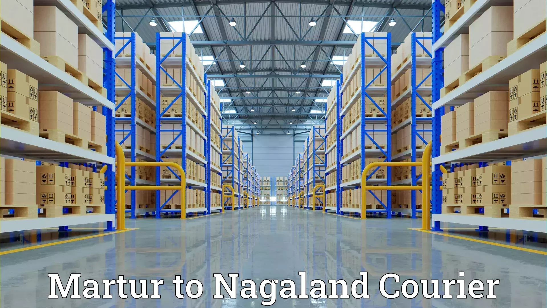 Customized relocation services Martur to NIT Nagaland