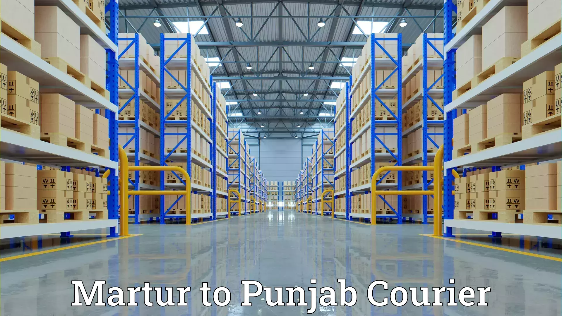 Tailored moving packages Martur to Phagwara