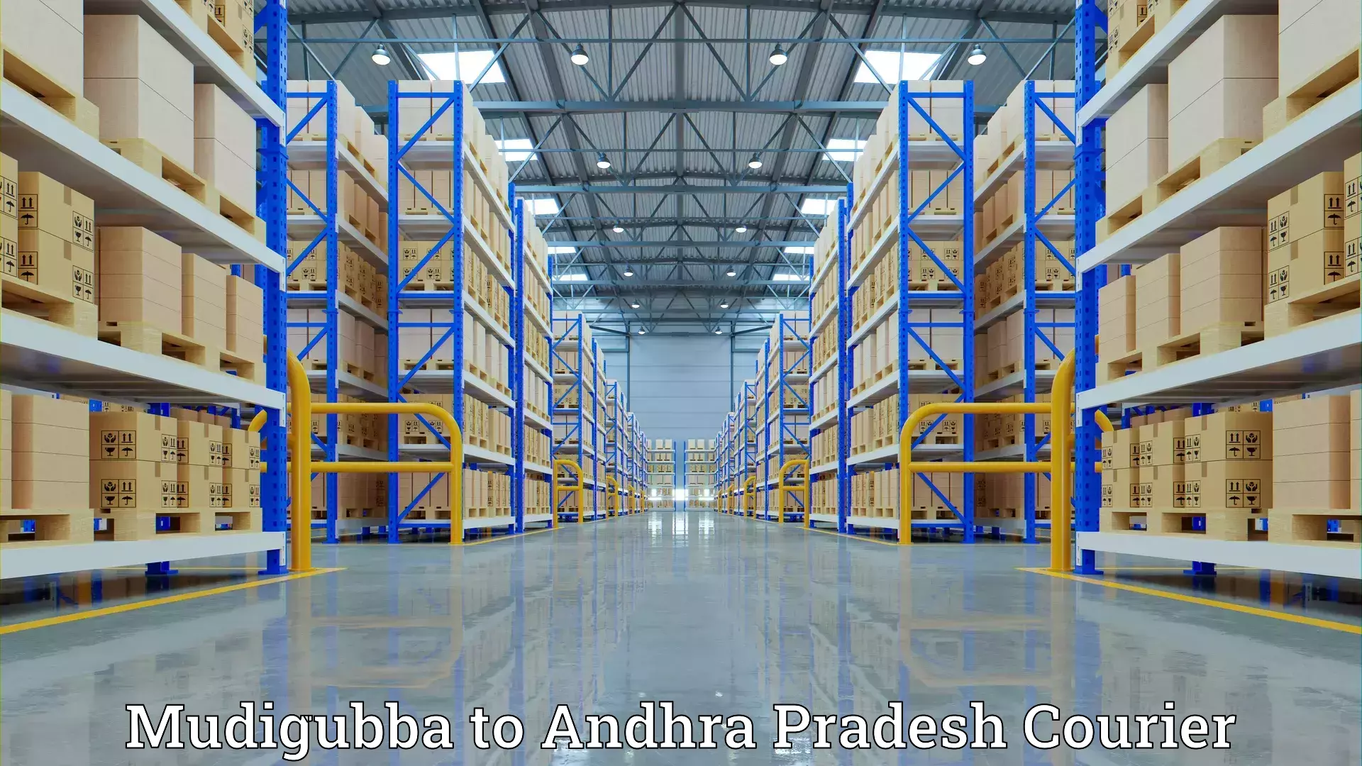 Customized household moving Mudigubba to Amalapuram