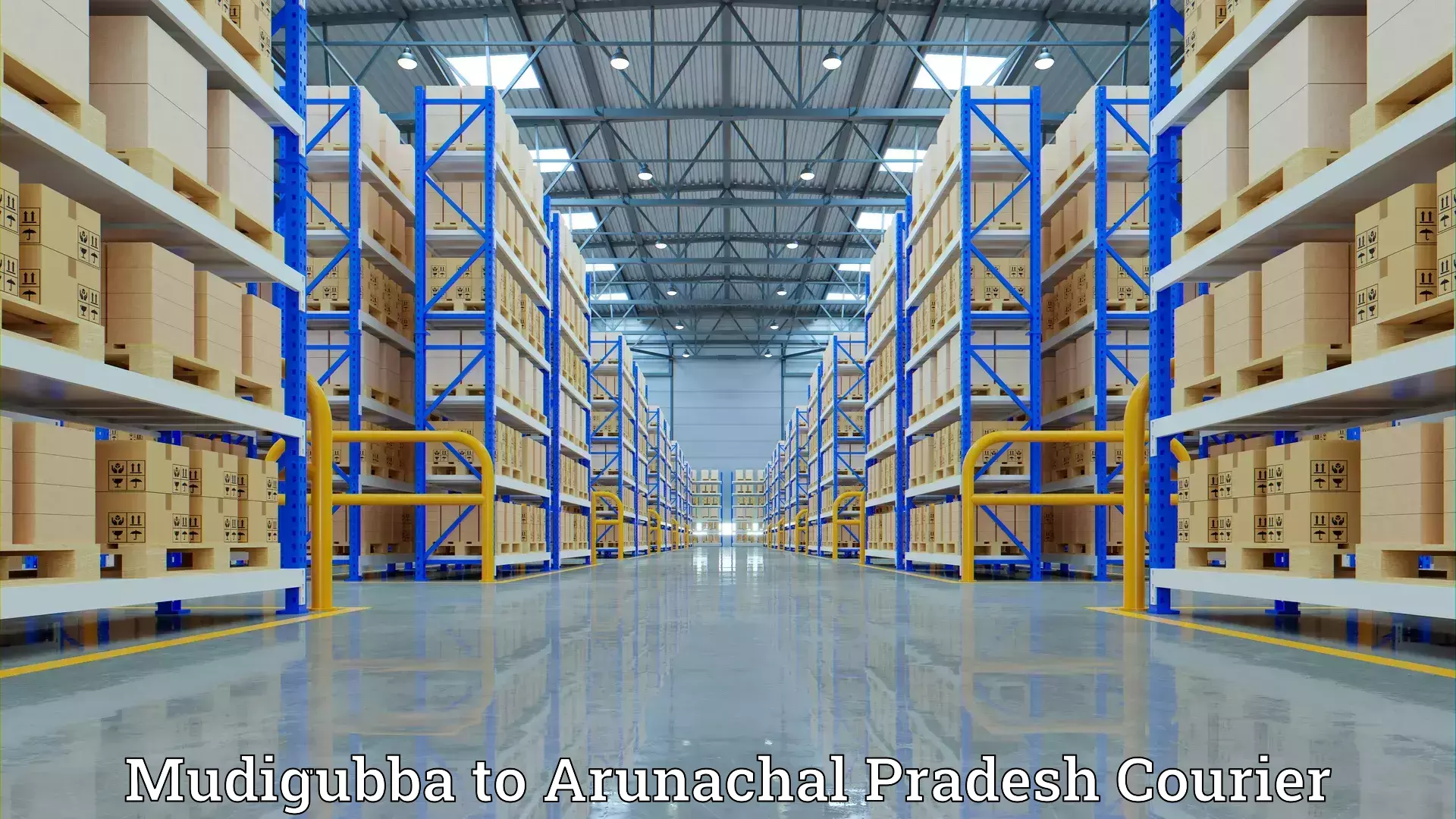 Home shifting services Mudigubba to Arunachal Pradesh