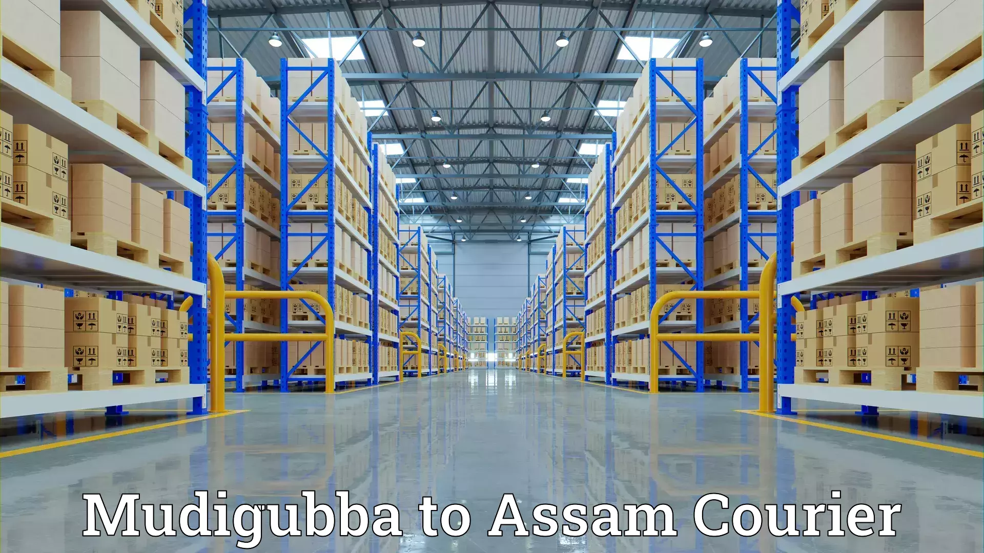 Quality furniture movers Mudigubba to Gogamukh