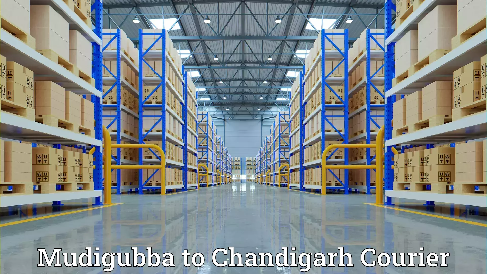 Quality moving company in Mudigubba to Chandigarh