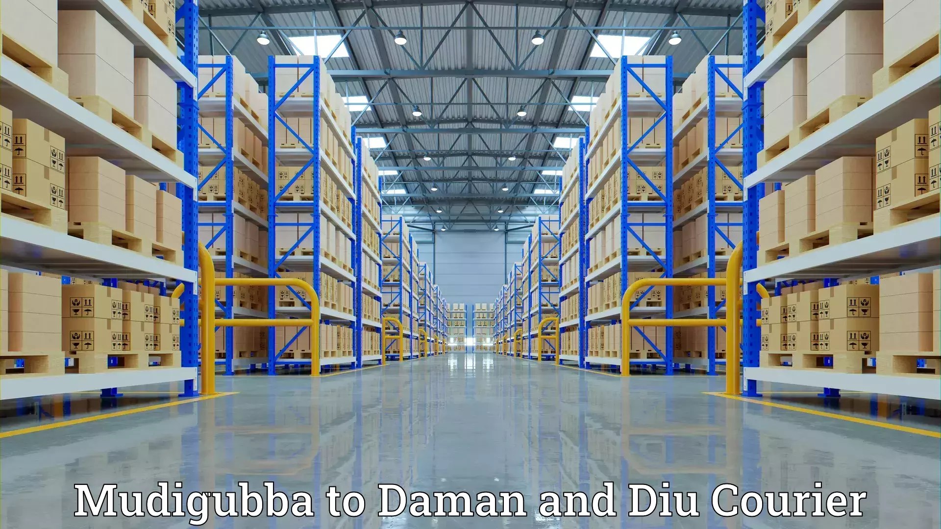 Quick moving services Mudigubba to Daman