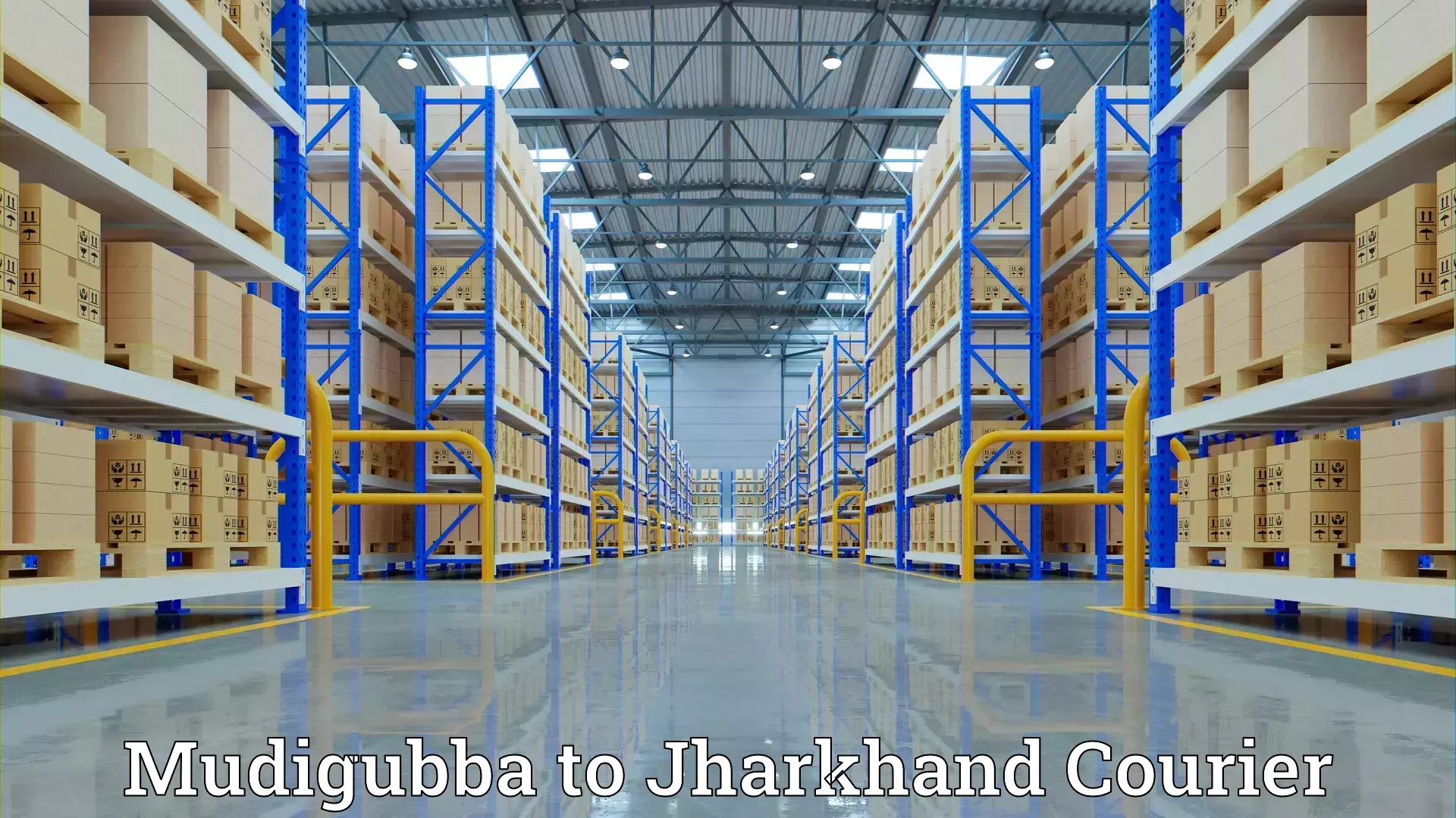 Comprehensive home relocation Mudigubba to Hariharganj