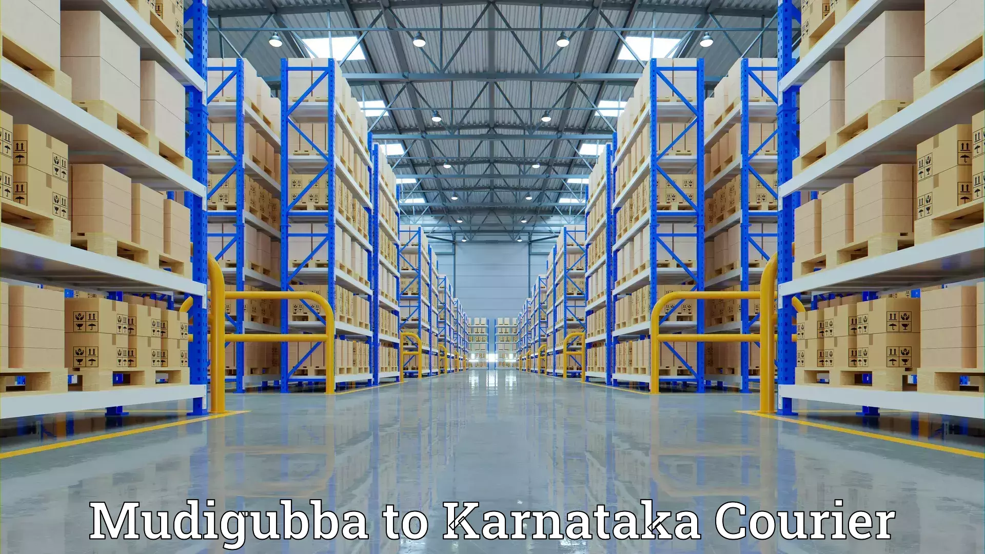 Comprehensive furniture moving Mudigubba to Kodagu