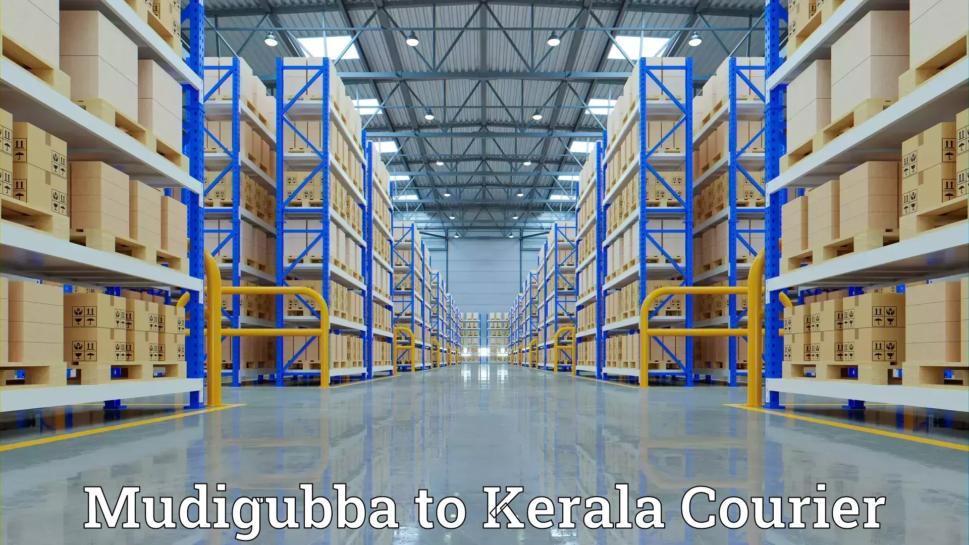 Moving and storage services Mudigubba to Koyilandy