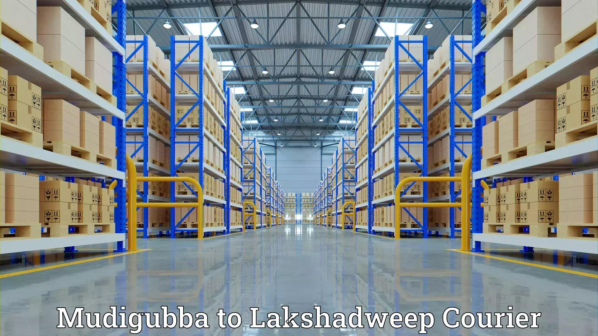 Home relocation solutions Mudigubba to Lakshadweep