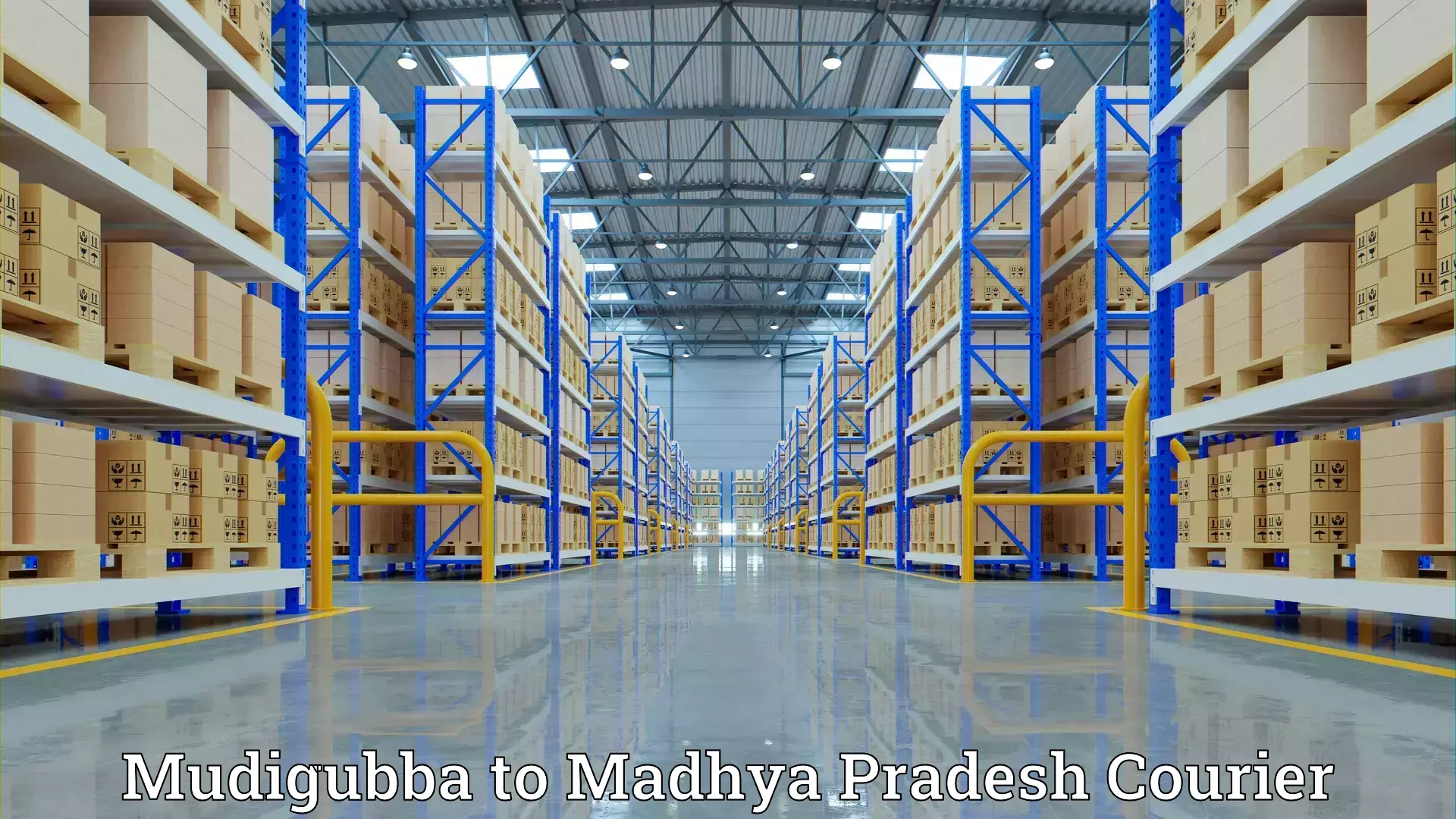 Tailored moving services Mudigubba to Tikamgarh