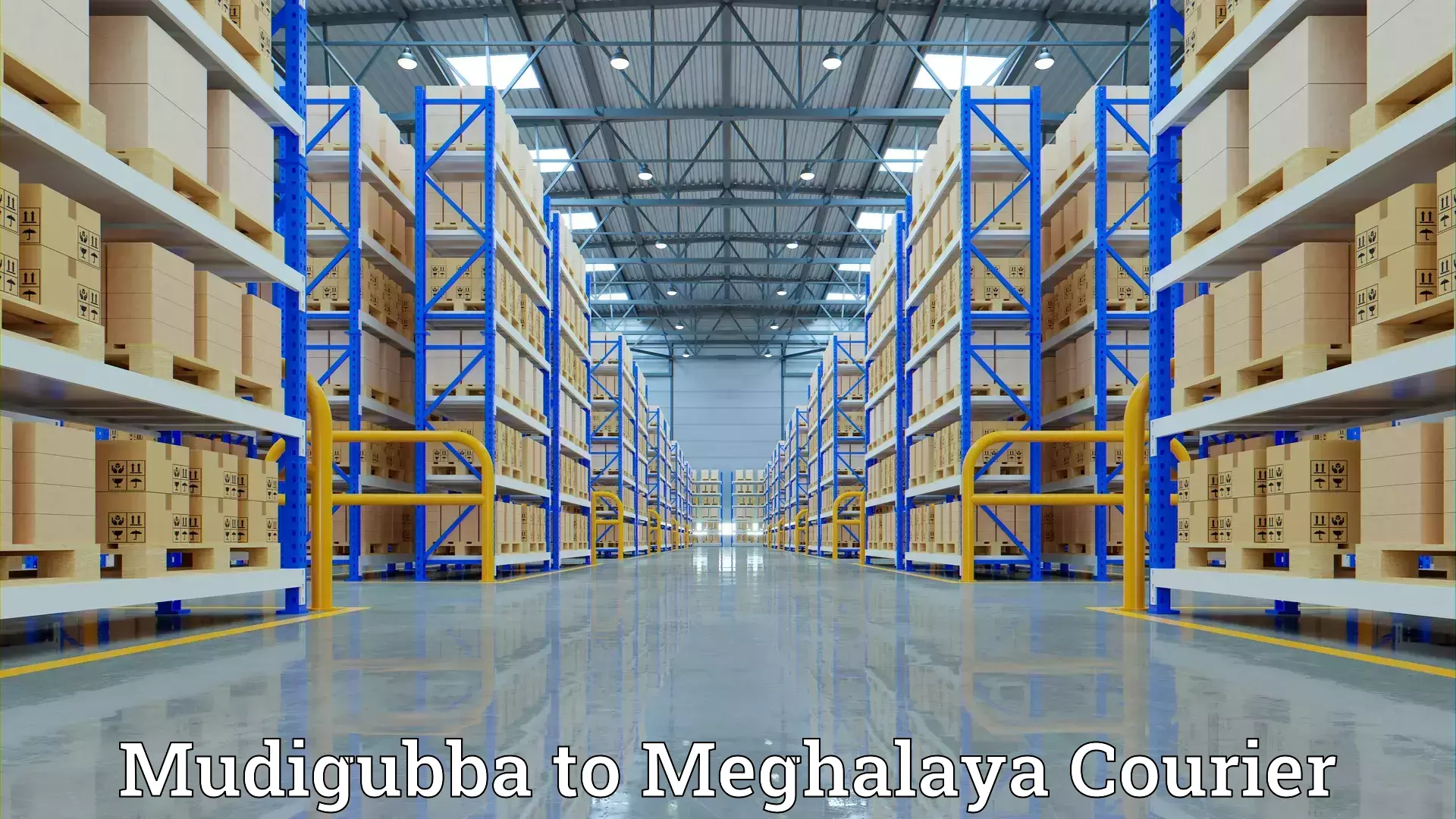 Home shifting experts in Mudigubba to Meghalaya