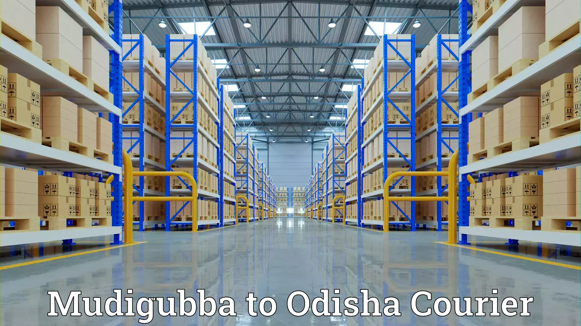 Flexible moving solutions Mudigubba to Pipili