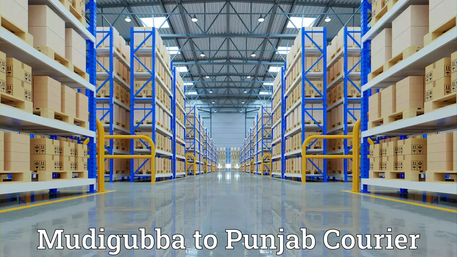 Long-distance moving services in Mudigubba to Goindwal Sahib