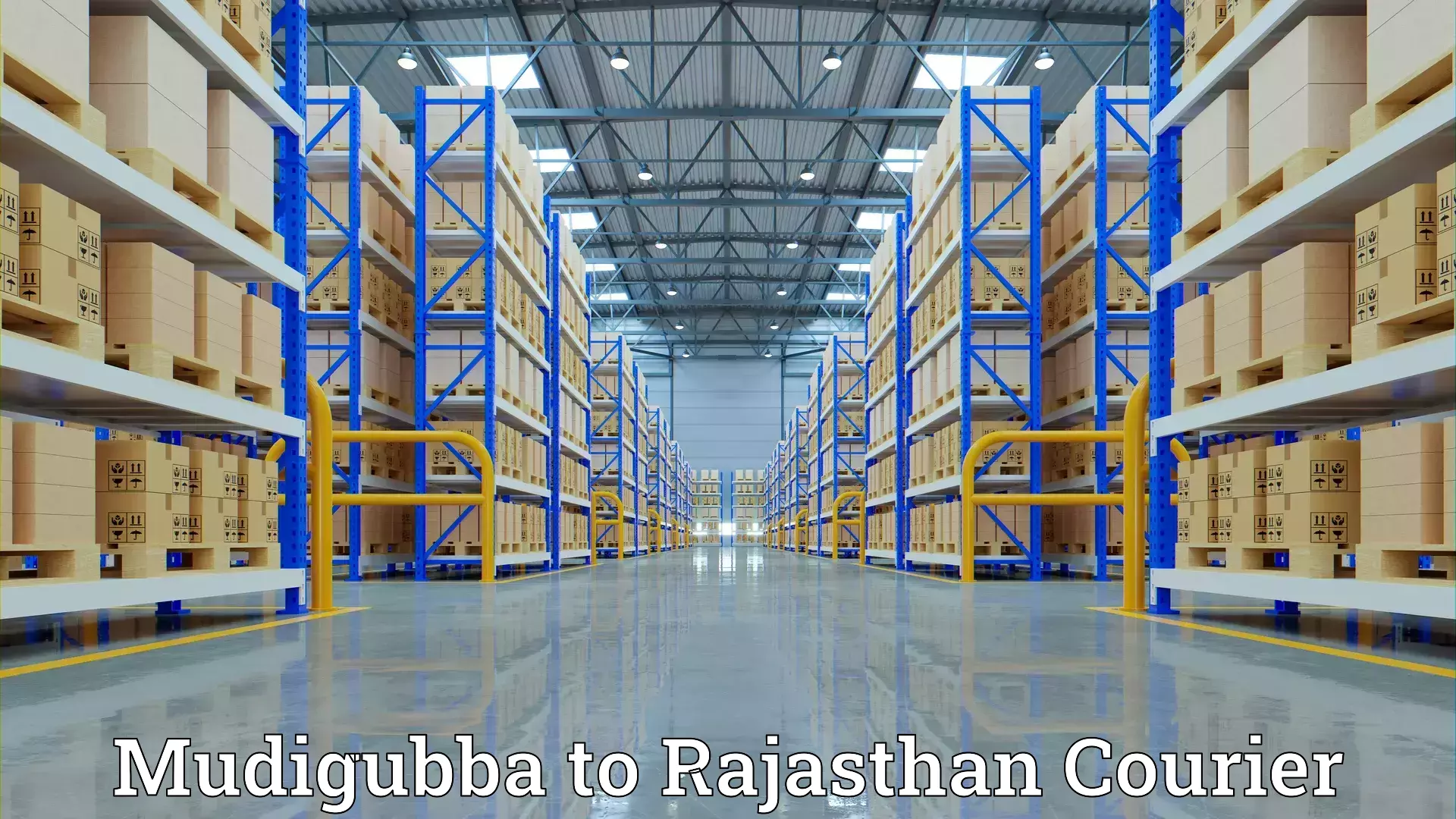 Quick home relocation services Mudigubba to Barmer