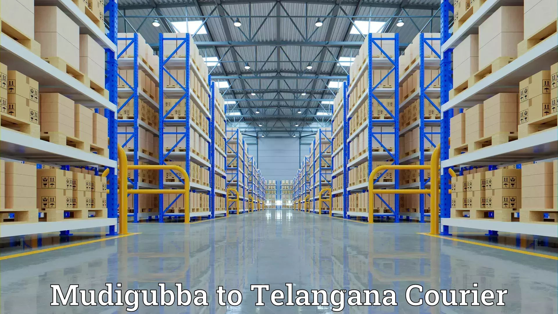 Expert home relocation Mudigubba to Tandur