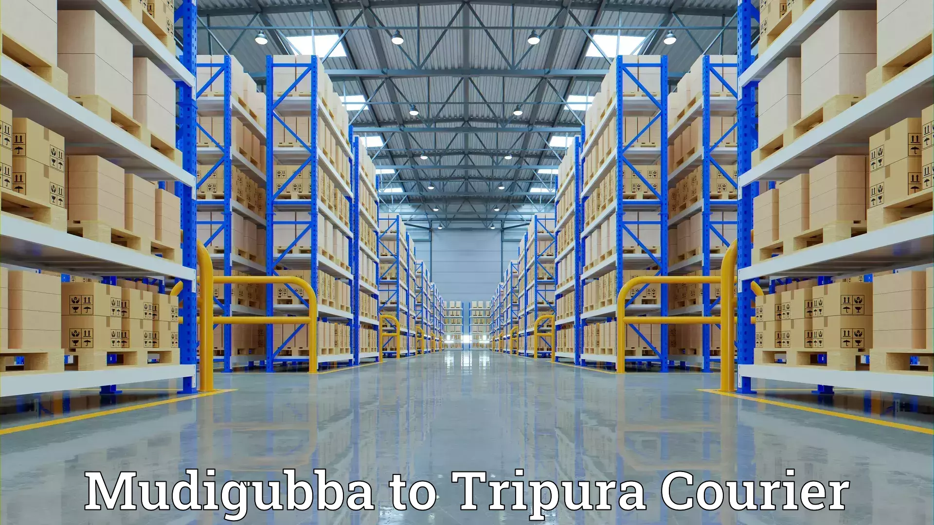 Home goods moving company Mudigubba to Bishalgarh