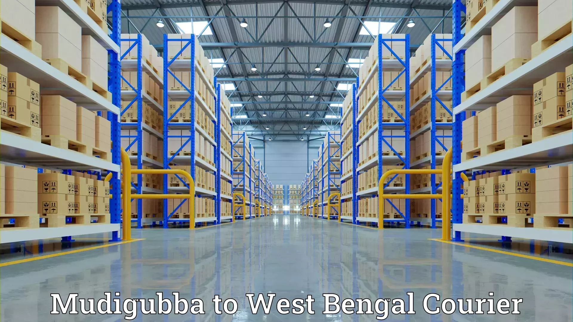 Household logistics services Mudigubba to Panagarh