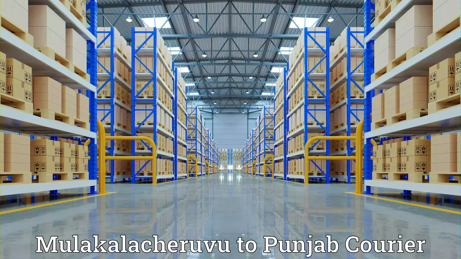 Efficient packing services Mulakalacheruvu to Guru Nanak Dev University Amritsar