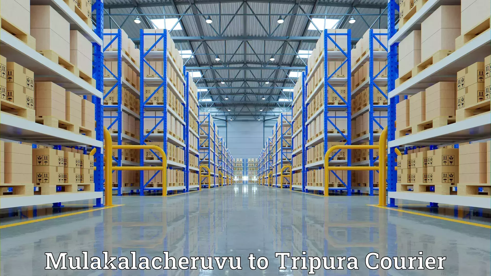 Efficient furniture movers Mulakalacheruvu to Tripura