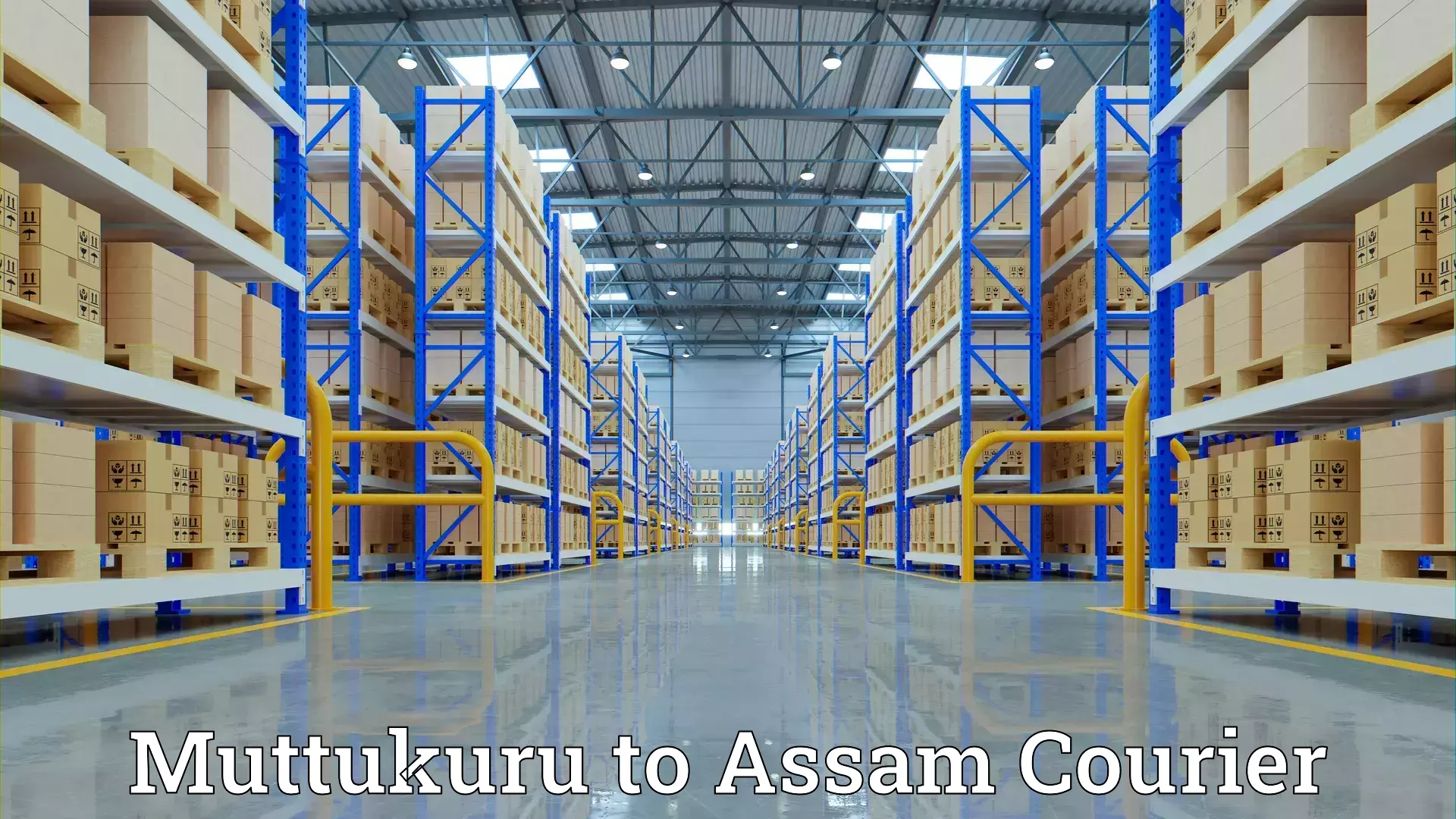 Trusted relocation experts Muttukuru to Assam