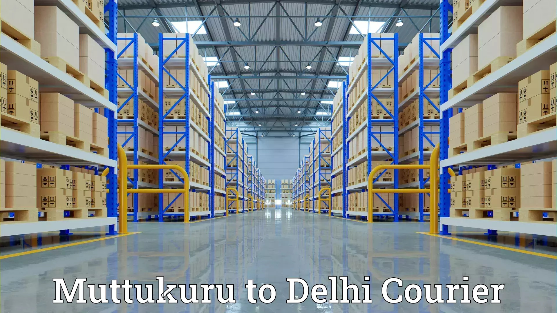 Personalized moving and storage Muttukuru to East Delhi