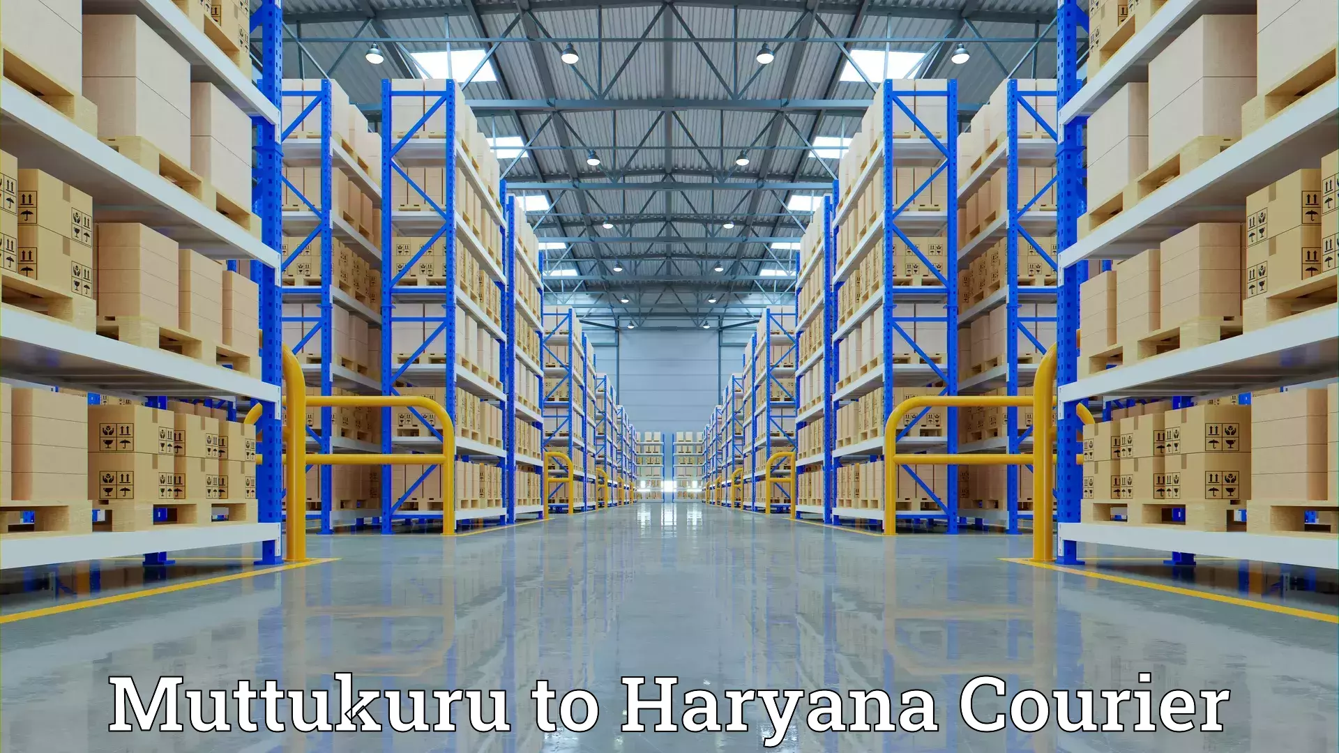 Professional goods transport Muttukuru to Faridabad