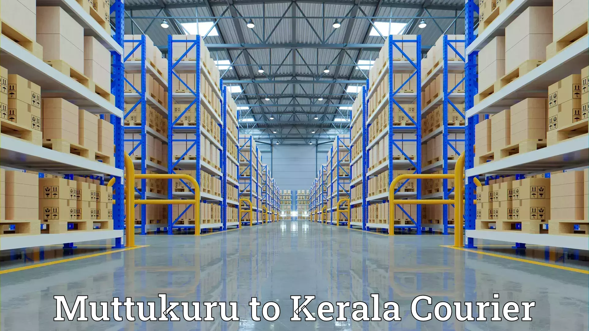 Safe furniture moving Muttukuru to Kerala