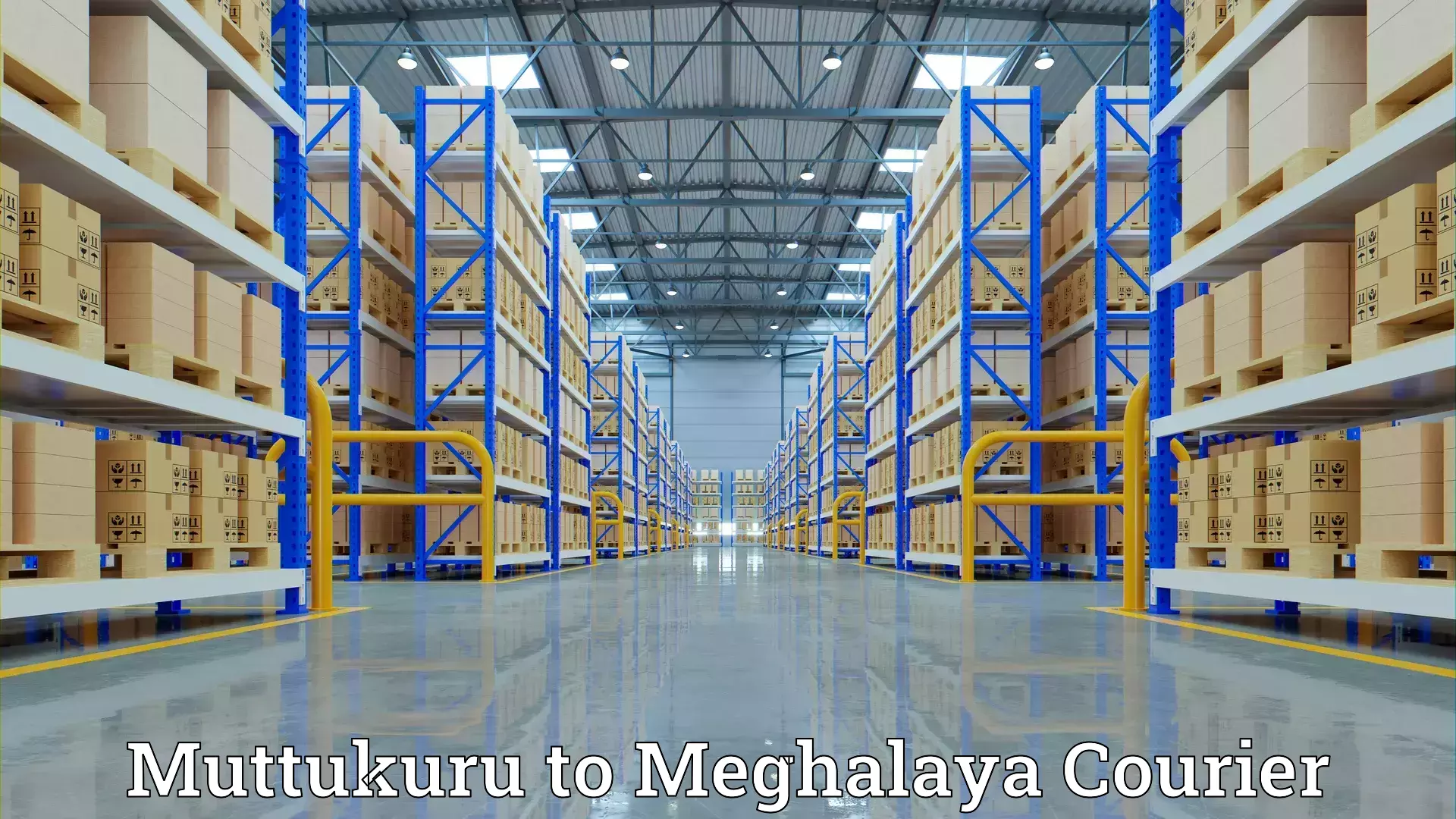 Reliable moving assistance Muttukuru to Meghalaya