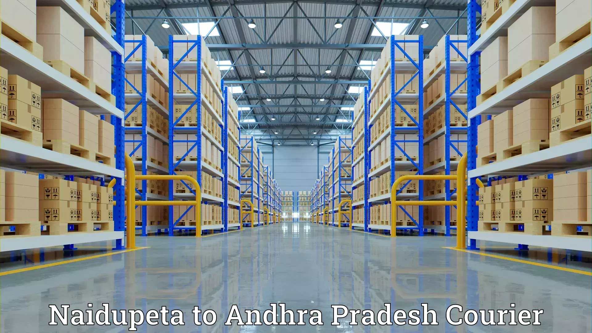 Affordable home movers Naidupeta to Achampet Palnadu