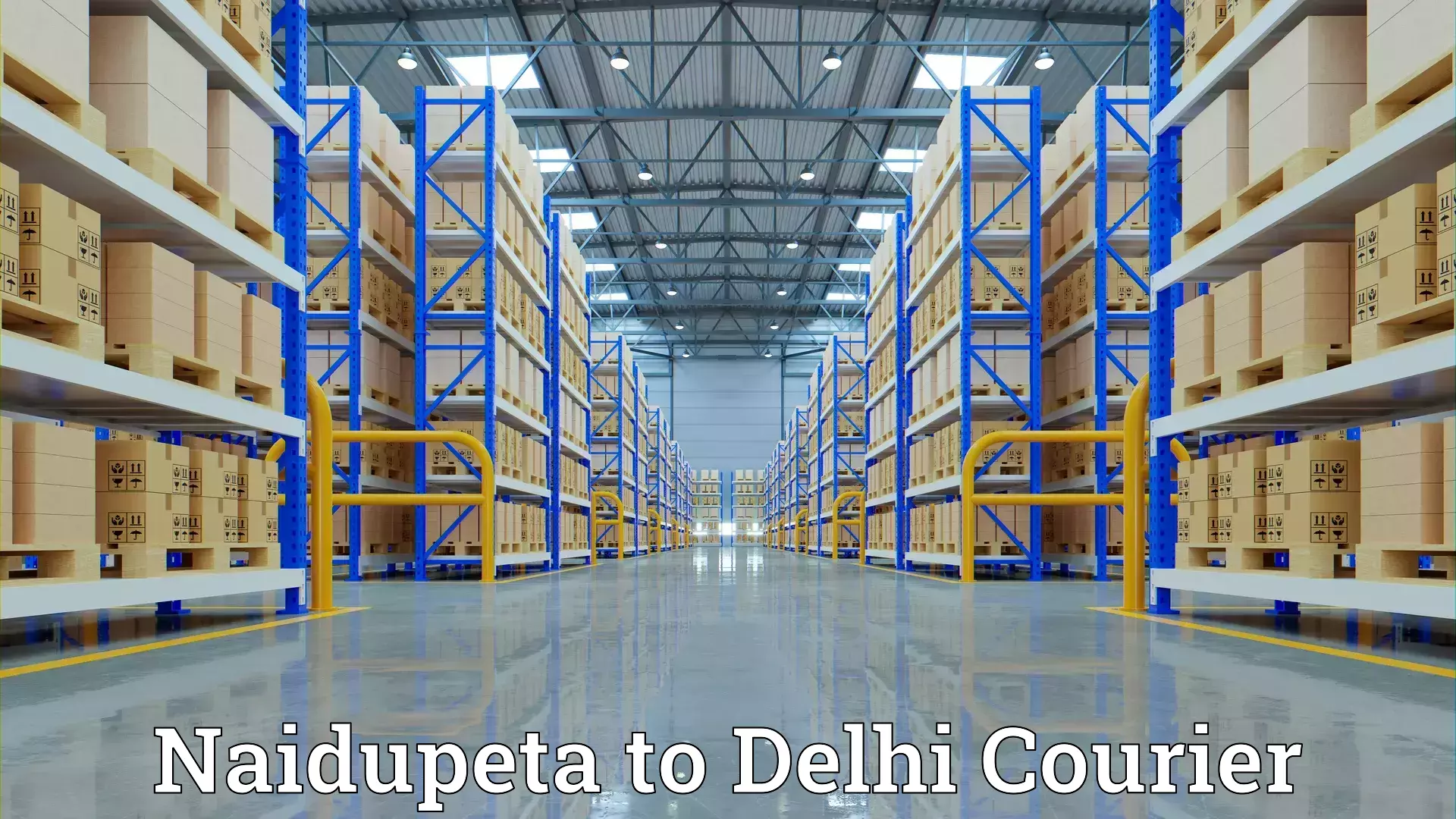 Household goods shipping Naidupeta to Jamia Millia Islamia New Delhi