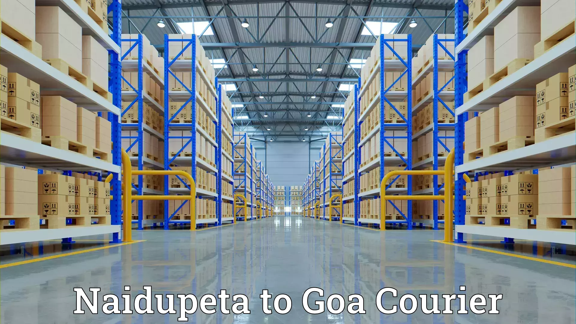 Personalized moving and storage Naidupeta to Goa