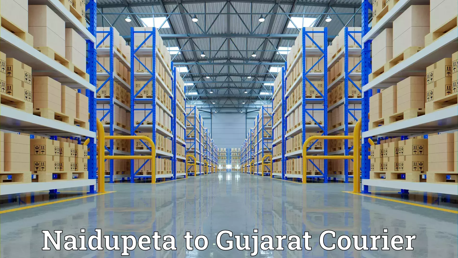 Reliable furniture shifting Naidupeta to Patan Gujarat