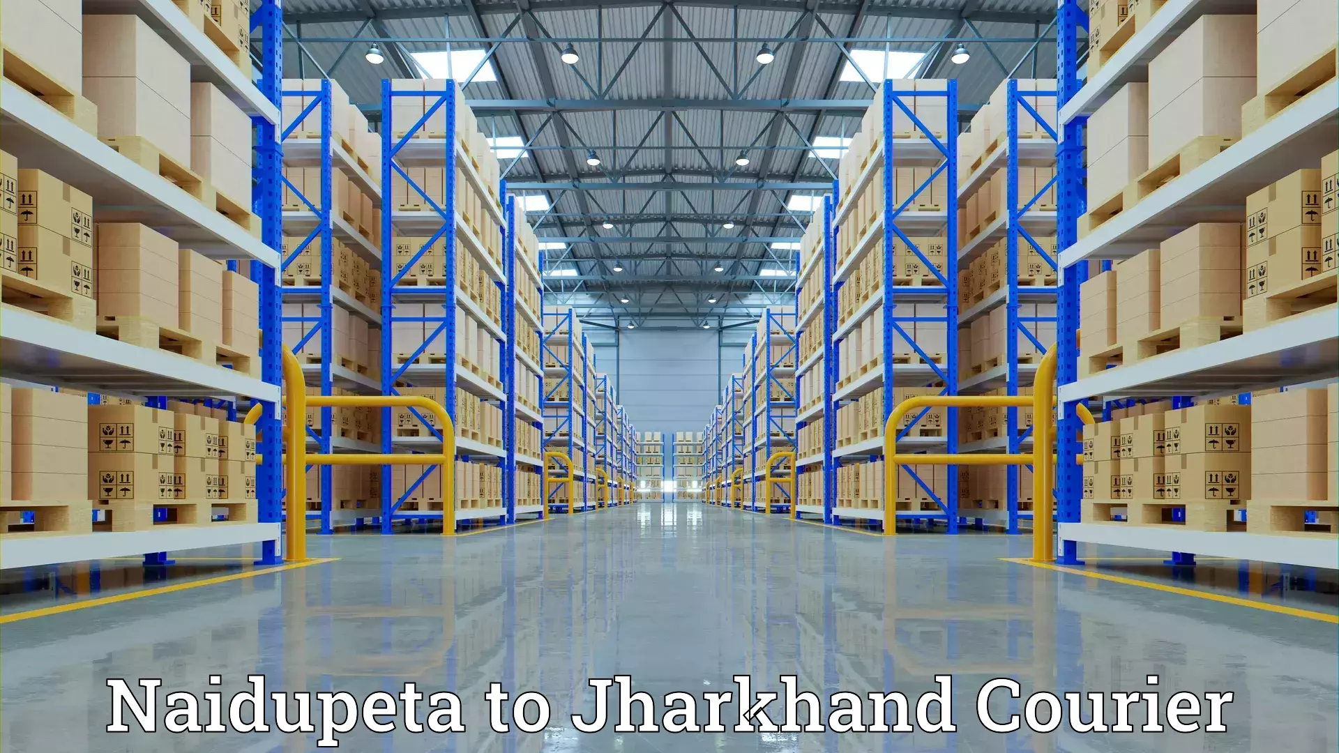 Efficient packing services Naidupeta to Tandwa