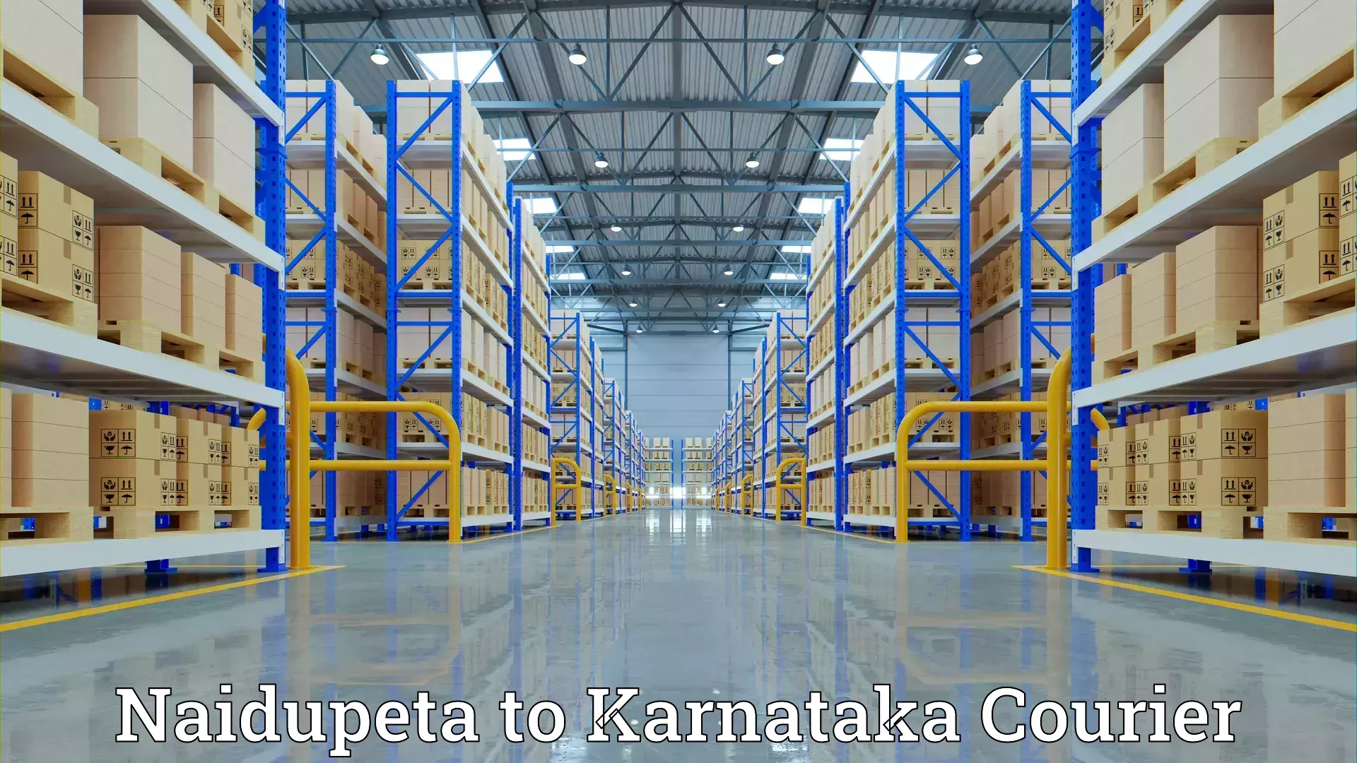 Furniture moving service in Naidupeta to Kumta