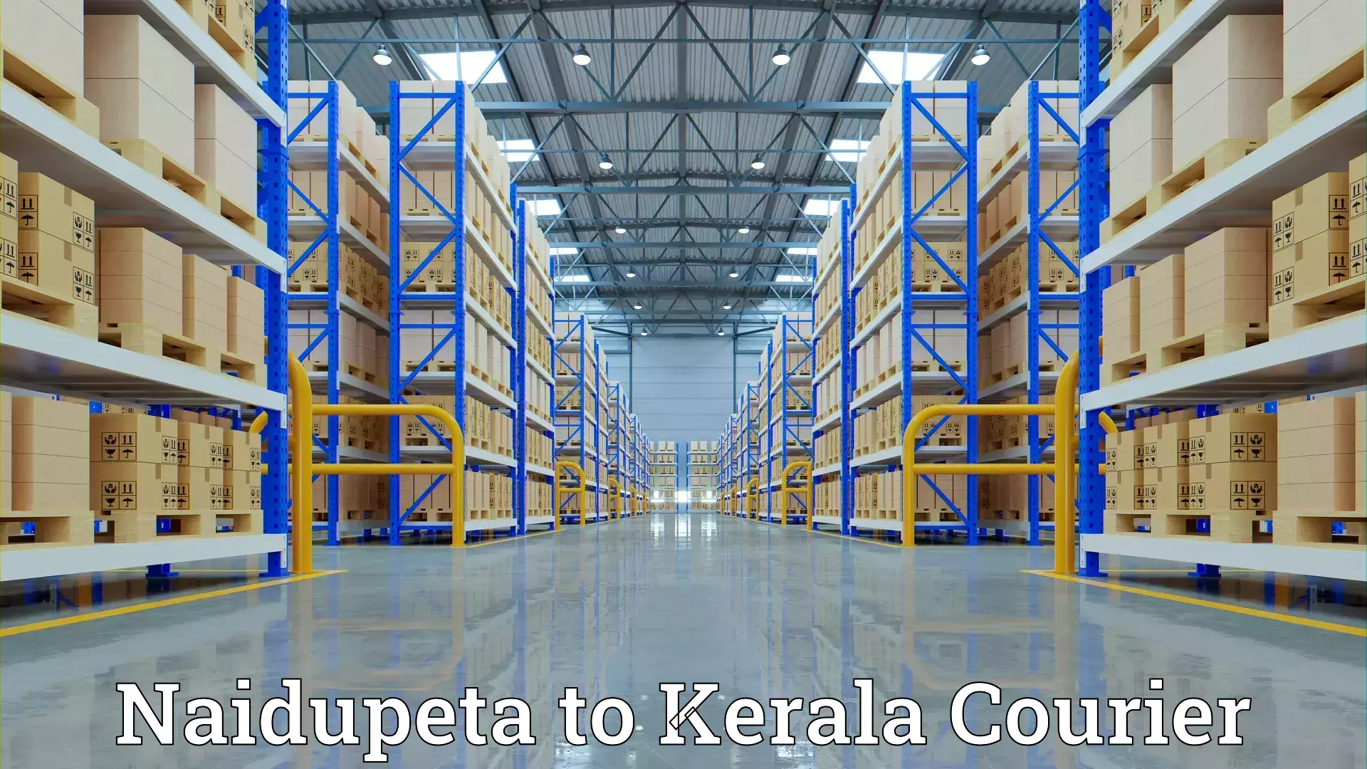 Furniture shipping services Naidupeta to Kerala