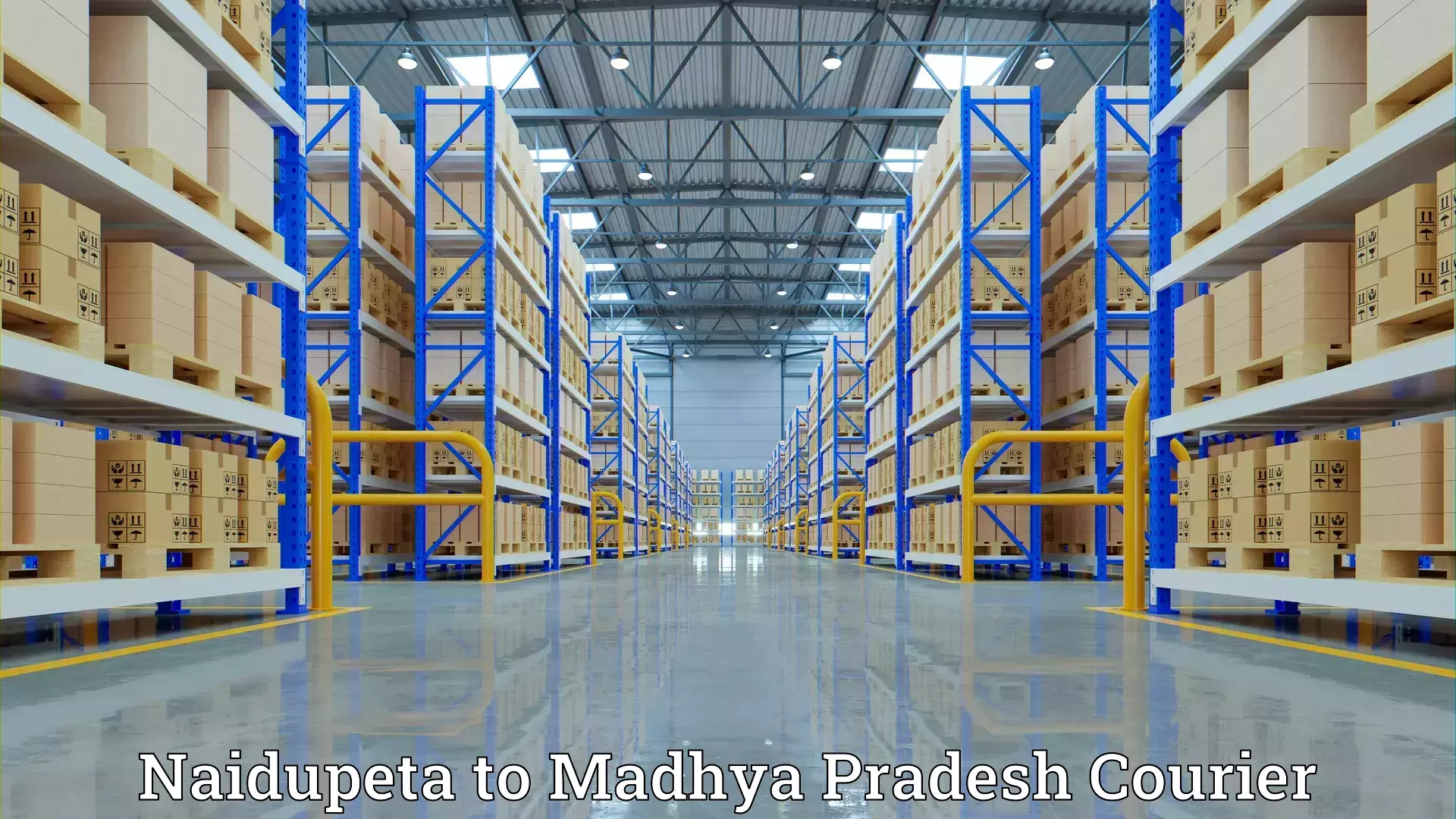 Expert packing and moving Naidupeta to Madhya Pradesh